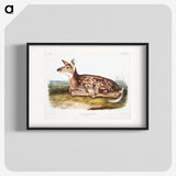 1-10_The-Viviparous-Quadrupeds_blk