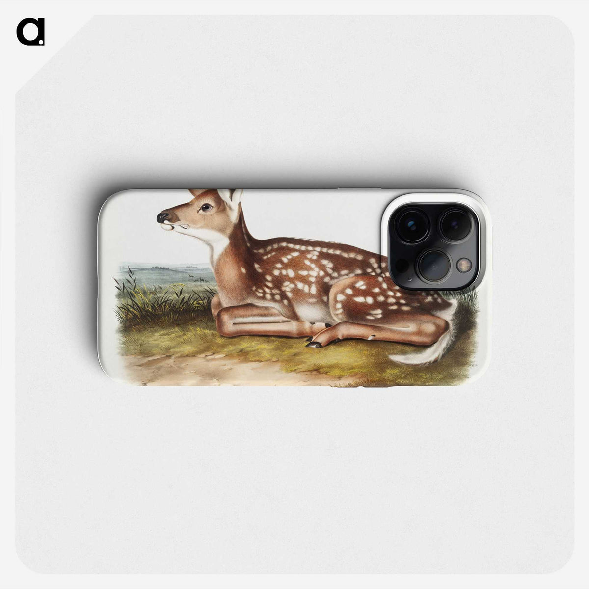 1-10_The-Viviparous-Quadrupeds_phone