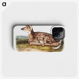 1-10_The-Viviparous-Quadrupeds_phone