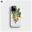 1-10_Treatise-on-Trees-and-Shrubs_phone