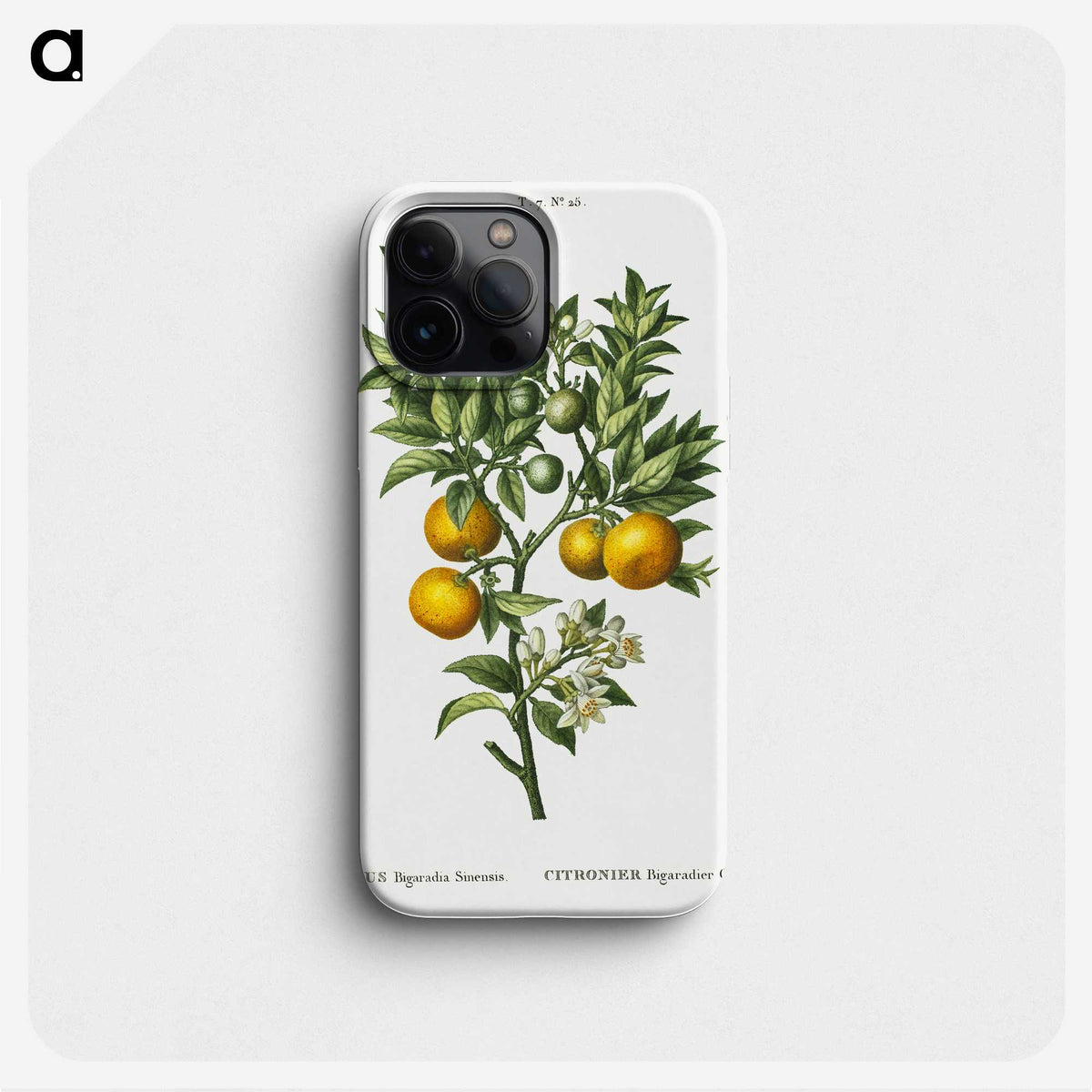 1-10_Treatise-on-Trees-and-Shrubs_phone