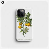 1-10_Treatise-on-Trees-and-Shrubs_phone