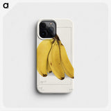 1-10_USDA-Watercolor-Fruit-Painting-Collection_phone
