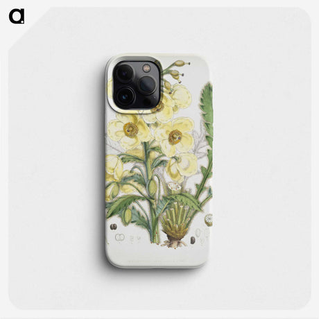 1-10_Walter-Hood-Fitch_phone