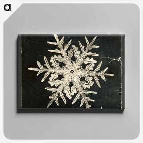 アートパネル-Wilson Bentley's Snowflake 332 - ウィルソン ベントレー Canvas.