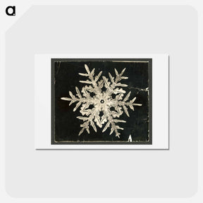 アートポストカード-Wilson Bentley's Snowflake 332 - ウィルソン ベントレー Postcard.