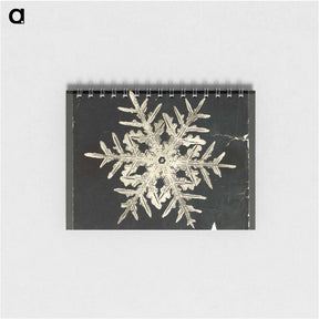 アートメモ帳-Wilson Bentley's Snowflake 332 - ウィルソン ベントレー Memo.