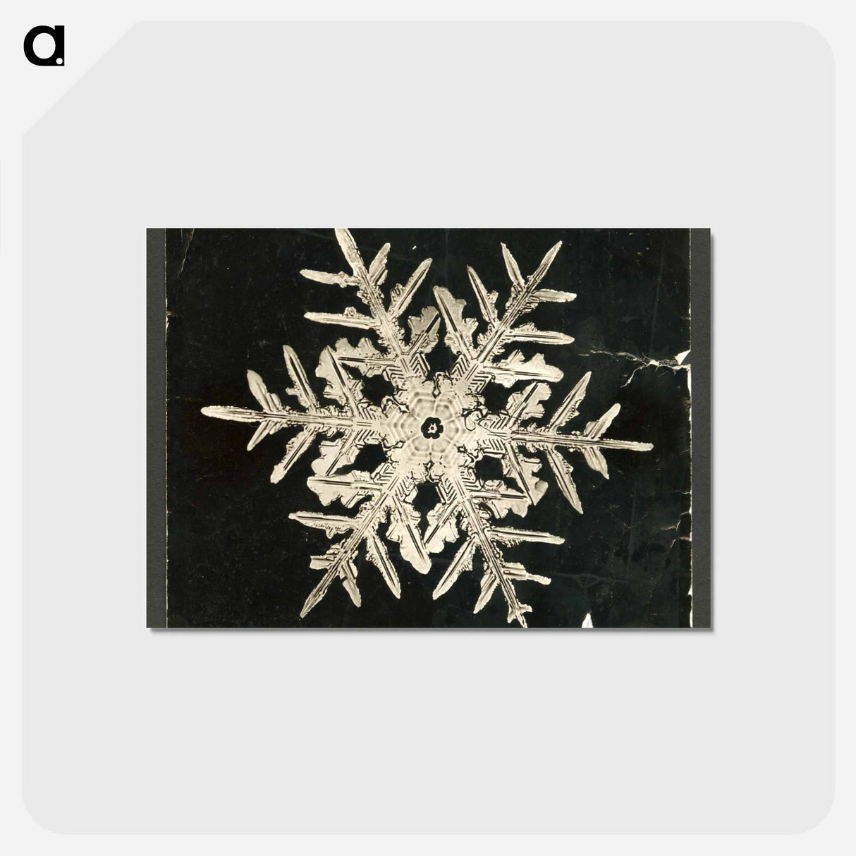 アートポストカード-Wilson Bentley's Snowflake 332 - ウィルソン ベントレー Postcard.