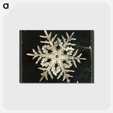 アートポストカード-Wilson Bentley's Snowflake 332 - ウィルソン ベントレー Postcard.