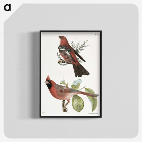 1-10_Zoology-of-New-York_blk-crop