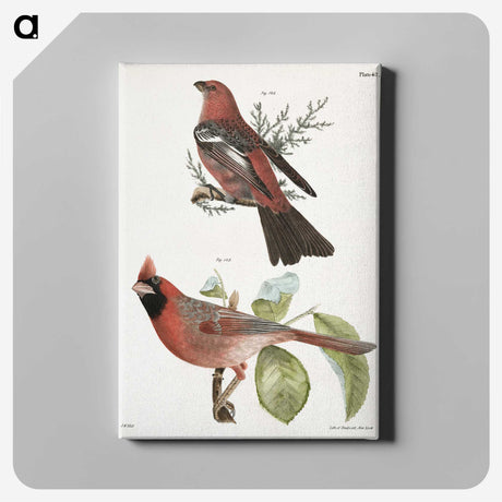 1-10_Zoology-of-New-York_canvas