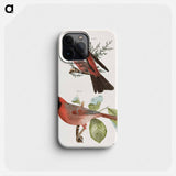 The Pine Bulfinch (Corythus enucleator) - ニューヨークの動物学 Phone Case.