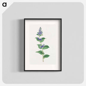 アートポスター-Utsugo Gusa - 19世紀の日本の花 Poster.