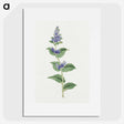 1-11_19th-Century-Japanese-Flowers_picture
