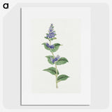 1-11_19th-Century-Japanese-Flowers_picture
