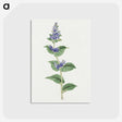 1-11_19th-Century-Japanese-Flowers_postcard