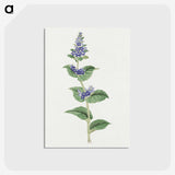 1-11_19th-Century-Japanese-Flowers_postcard
