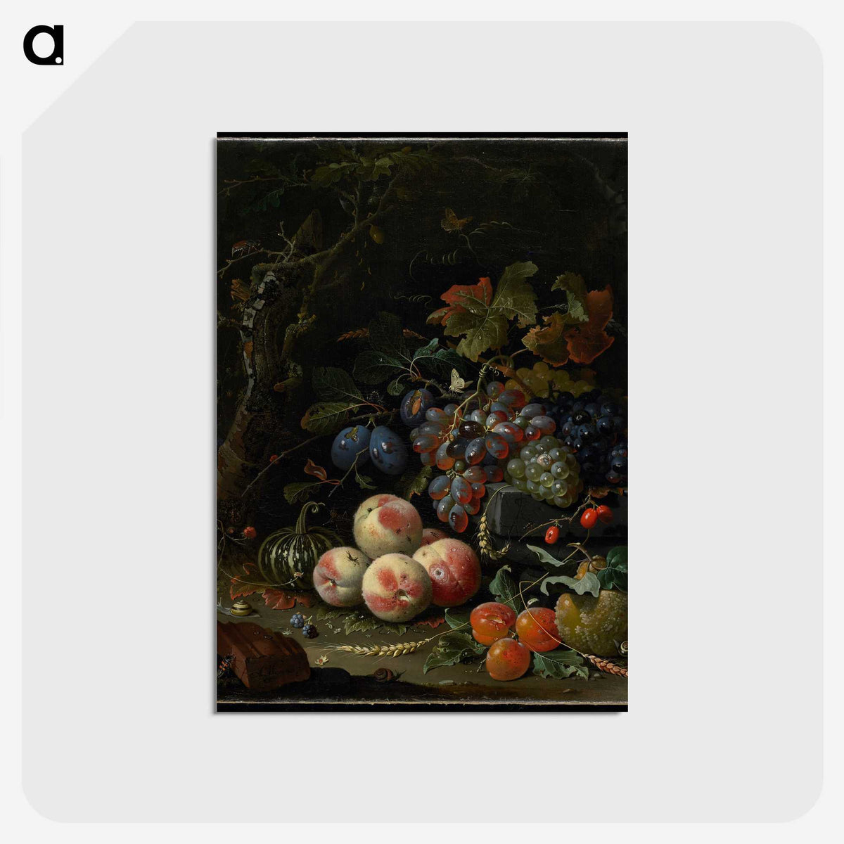 1-11_Abraham-Mignon_postcard