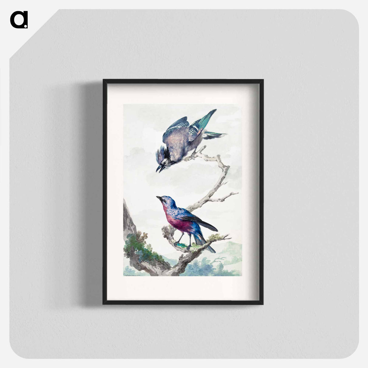 Two birds: a blue jay and a purple-breasted cotinga - アールト シューマン Poster.