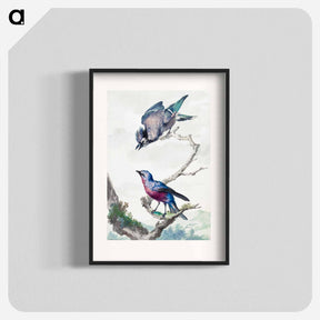 アートポスター-Two birds: a blue jay and a purple-breasted cotinga - アールト シューマン Poster.