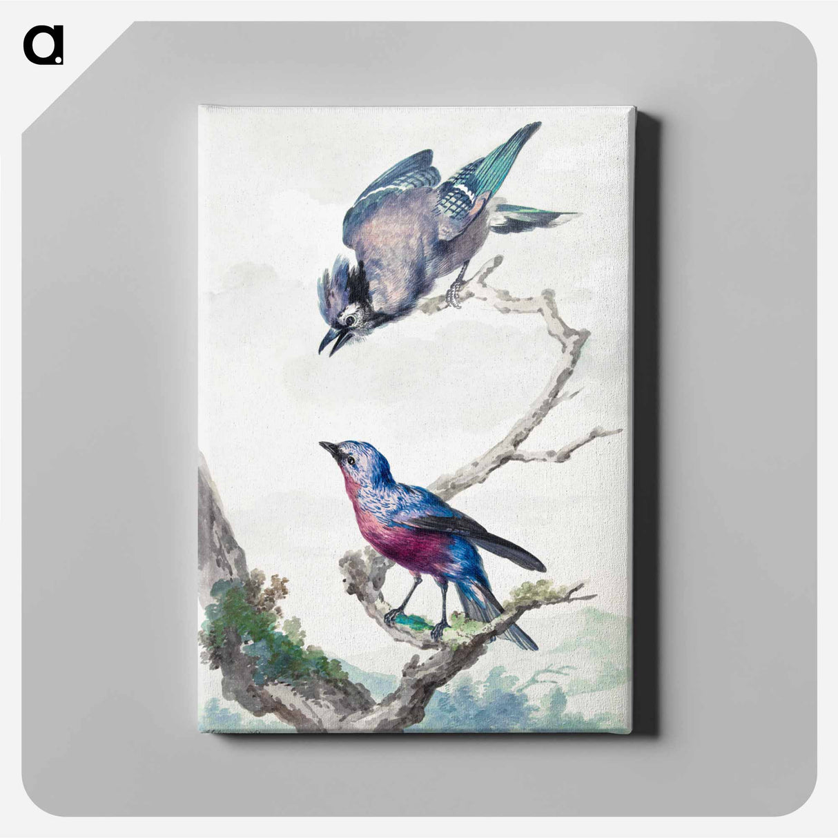 Two birds: a blue jay and a purple-breasted cotinga - アールト シューマン Canvas.