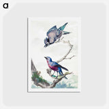 Two birds: a blue jay and a purple-breasted cotinga - アールト シューマン Postcard.