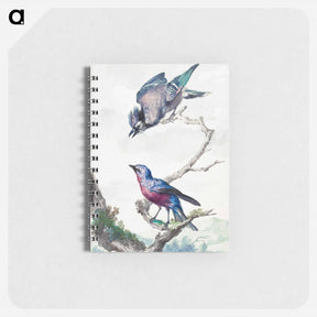 アートメモ帳-Two birds: a blue jay and a purple-breasted cotinga - アールト シューマン Memo.