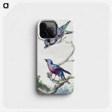 1-11_Aert-Schouman_phone
