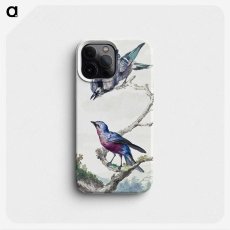 1-11_Aert-Schouman_phone