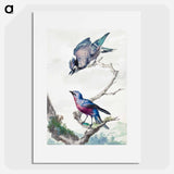 Two birds: a blue jay and a purple-breasted cotinga - アールト シューマン Poster.