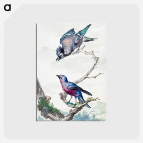 アートポストカード-Two birds: a blue jay and a purple-breasted cotinga - アールト シューマン Postcard.