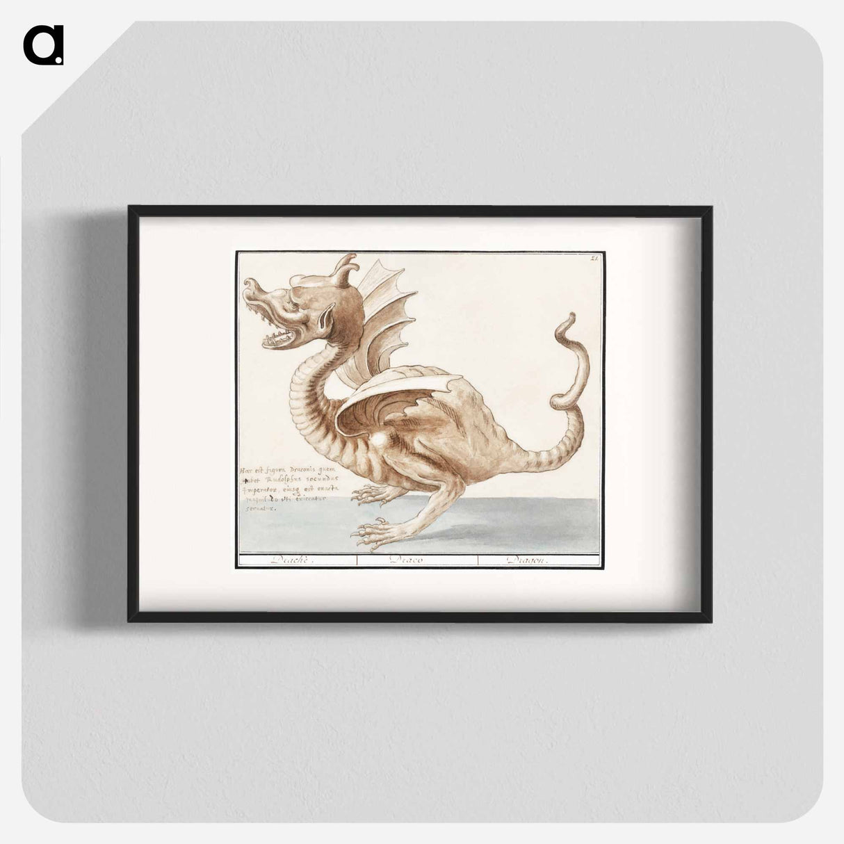 Dragon - アンセルムス ボエティウス デ ブート Poster.