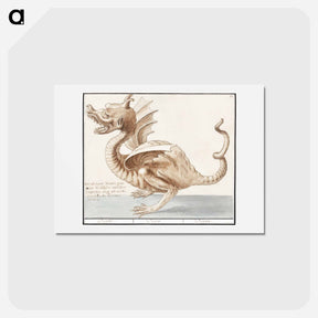 アートポストカード-Dragon - アンセルムス ボエティウス デ ブート Postcard.