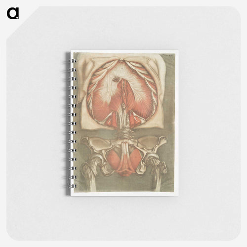 This fascinating collection of anatomical illustrations - アルノルド エロイ ゴーティエ ダゴティ Memo.
