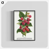 1-11_Botanical-Specimen-Plates_blk-crop