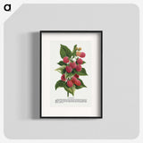 1-11_Botanical-Specimen-Plates_blk