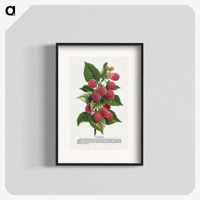 1-11_Botanical-Specimen-Plates_blk