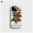 1-11_Botanical-Specimen-Plates_phone