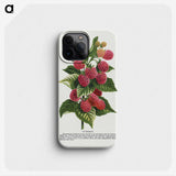 1-11_Botanical-Specimen-Plates_phone