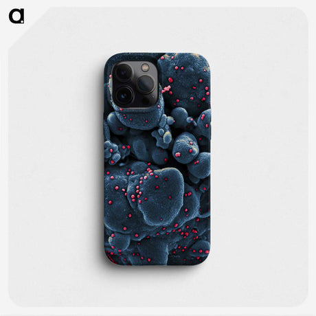 1-11_COVID-19_phone