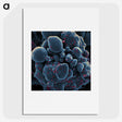 1-11_COVID-19_picture