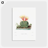 1-11_Charles-Antoine-Lemaire_postcard