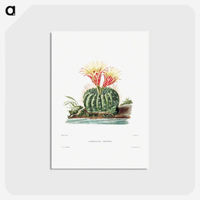 1-11_Charles-Antoine-Lemaire_postcard