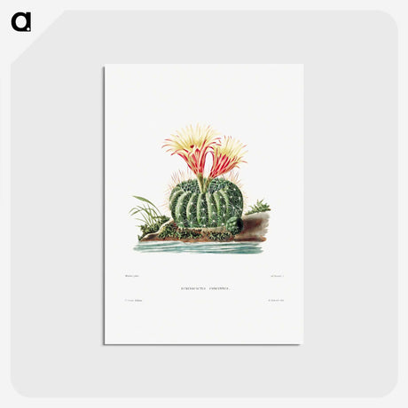 1-11_Charles-Antoine-Lemaire_postcard