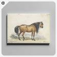 1-11_Charles-Hamilton-Smith_canvas
