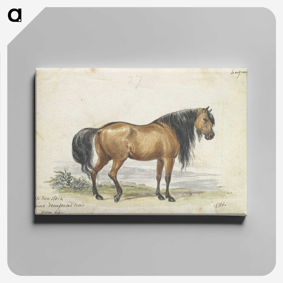 1-11_Charles-Hamilton-Smith_canvas