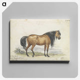 1-11_Charles-Hamilton-Smith_canvas