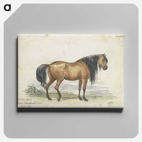 1-11_Charles-Hamilton-Smith_canvas