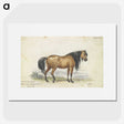 1-11_Charles-Hamilton-Smith_picture