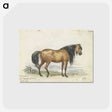 1-11_Charles-Hamilton-Smith_postcard